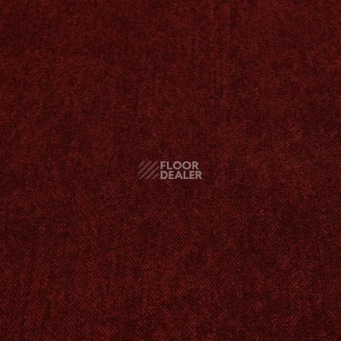 Haima Coral 36 фото 23 | FLOORDEALER